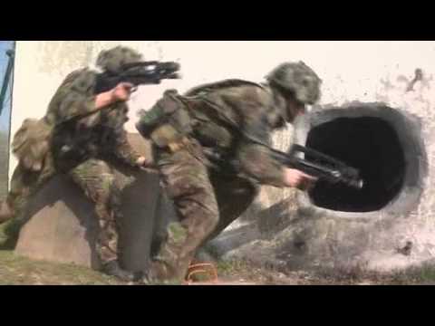 Coldstream Guards train with French Army on Ex Gaulish